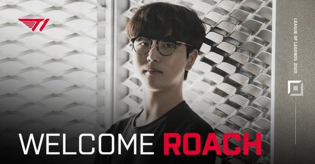 和战略的培 和战略的培